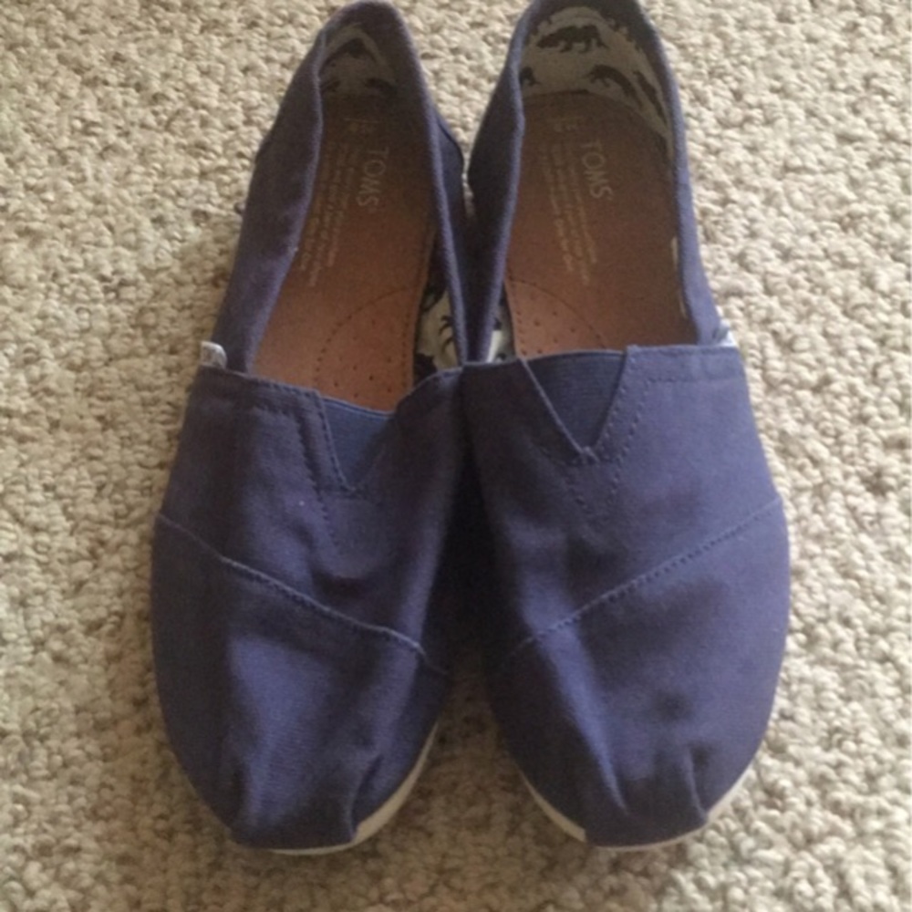 Blue canvas TOMS